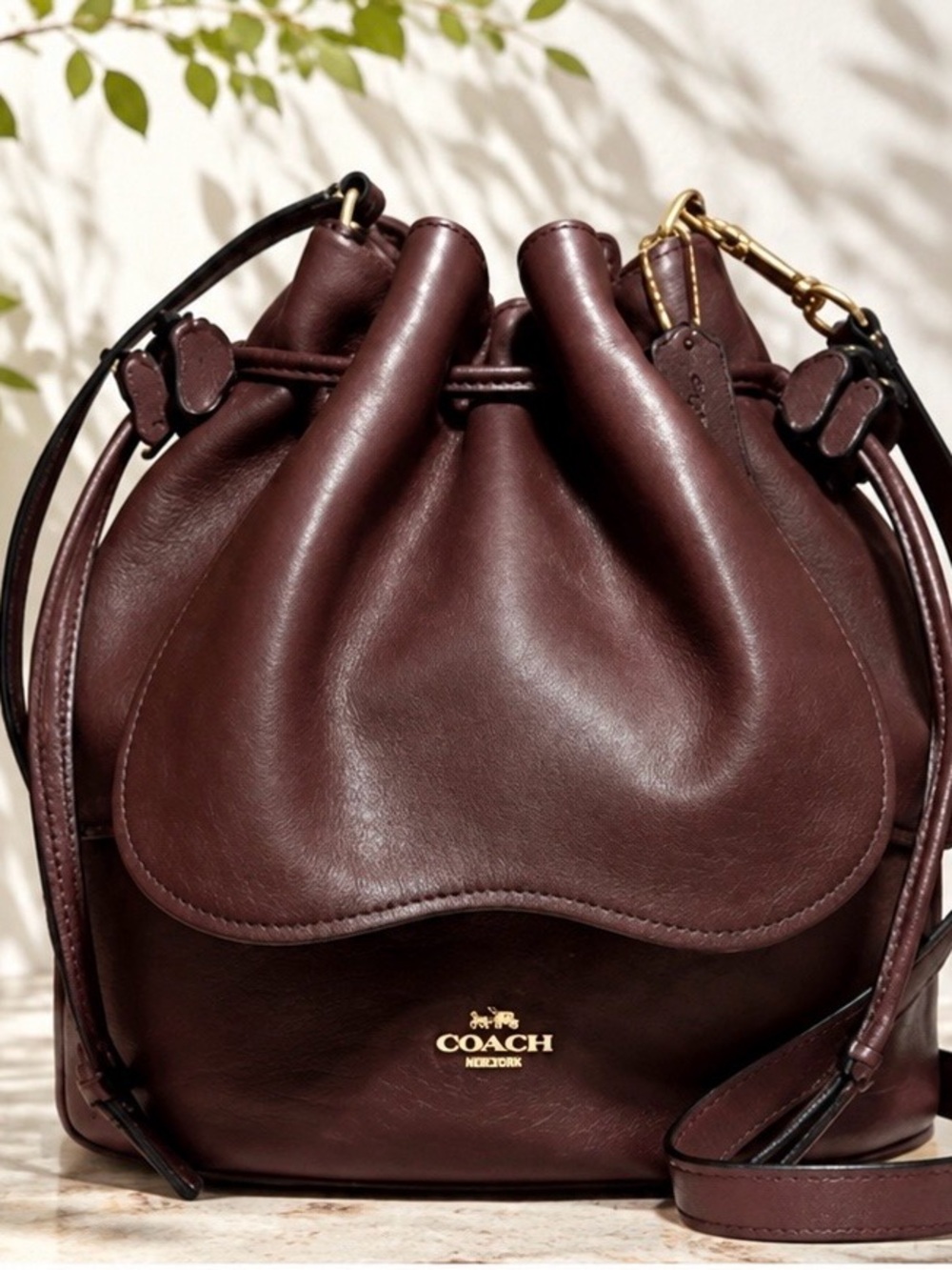 Coach Petal Bucket Bag Oxblood Pebbled Leather Crossbody Gold Hardware NWOT